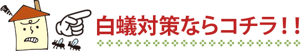 白蟻対策ならコチラ！