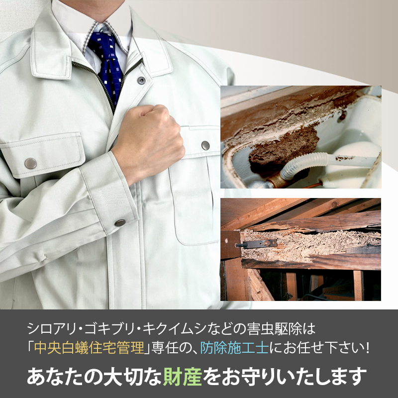 シロアリ・ゴキブリ・キクイムシなどの害虫駆除は「中央白蟻住宅管理」専任の、防除施工士にお任せ下さい。あなたの大切な財産をお守りいたします。